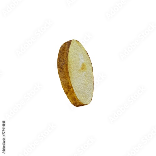 Potato vegetable brown slice a watercolor sketch
