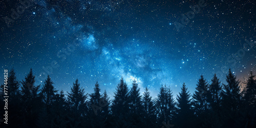 A clear night sky with stars and the silhouette of trees,beautiful night forest, A dark blue sky with stars above the silhouette of trees at night ,banner © Planetz