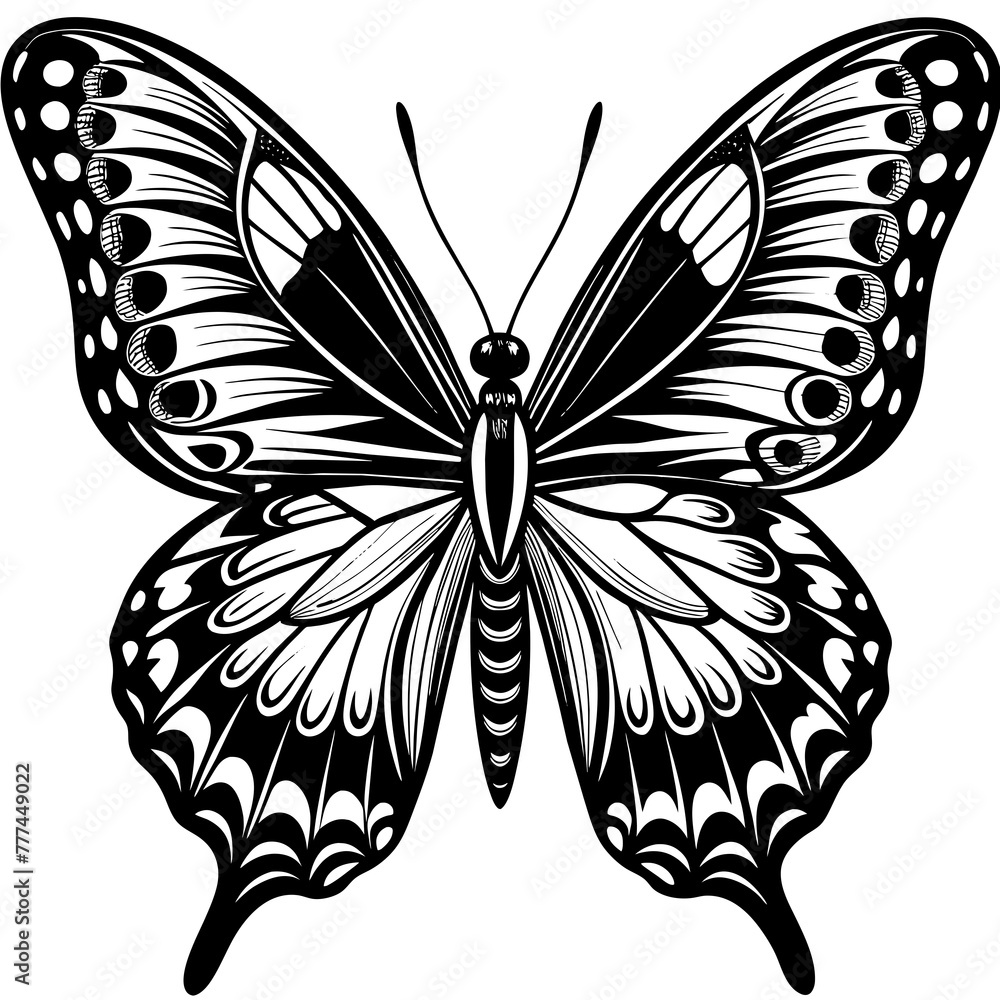 black and white butterfly,butterfly Silhouette Graphics Vector Illustration,head of a element black butterfly Svg t shirts Design, Laser Cut File Cricut,monarch butterfly contours on white background black and white butterfly,butterfly Silhouette Graphics Vector Illustration,head of a element black butterfly Svg t shirts Design, Laser Cut File Cricut,monarch butterfly contours on white background