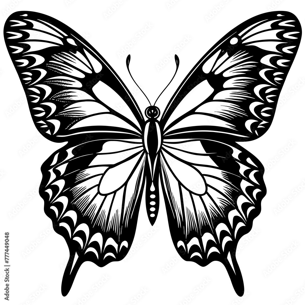 black and white butterfly,butterfly Silhouette Graphics Vector Illustration,head of a element black butterfly Svg t shirts Design, Laser Cut File Cricut,monarch butterfly contours on white background black and white butterfly,butterfly Silhouette Graphics Vector Illustration,head of a element black butterfly Svg t shirts Design, Laser Cut File Cricut,monarch butterfly contours on white background