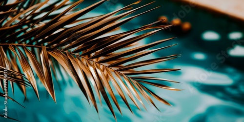 Wallpaper Mural close up of palm leaf Torontodigital.ca