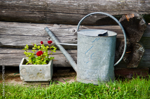 Close-up of a stone flower pot with a red rose plant and a zinc watering can in front of a log building in summer.