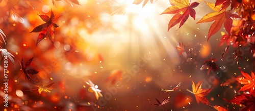 Beautiful orange and yellow autumn leaves banner background. fallen maple leaves