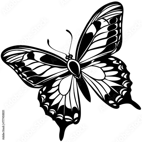 black and white butterfly,butterfly Silhouette Graphics Vector Illustration,head of a element black butterfly Svg t shirts Design, Laser Cut File Cricut,monarch butterfly contours on white background © SK kobita