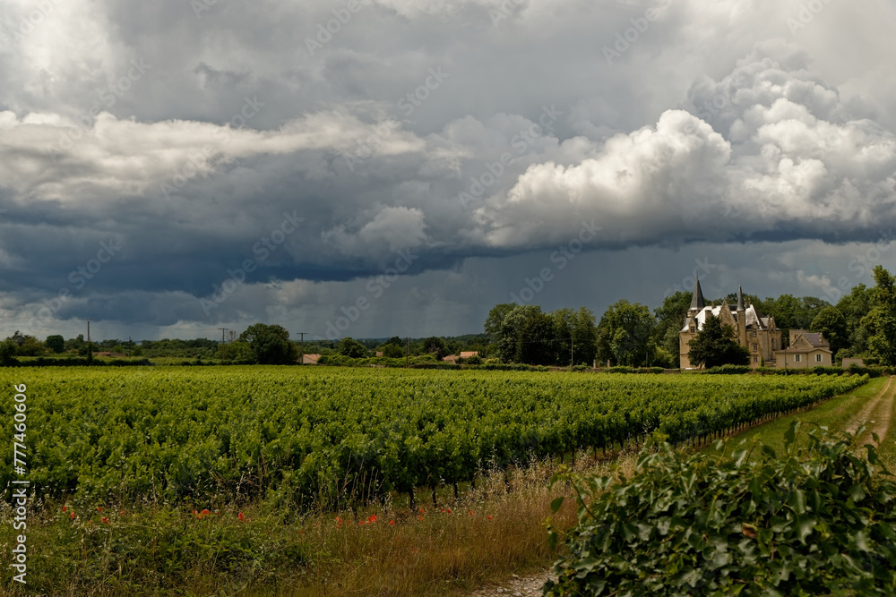 Paysage de ciel orageux avec château viticole en arrière plan