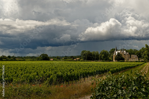 Photos Paysage de ciel orageux avec château viticole en arrière plan