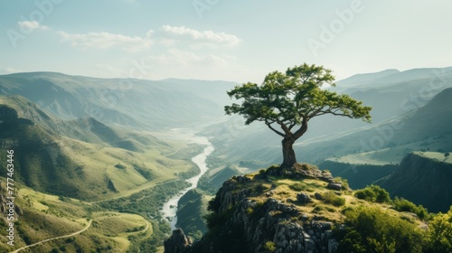 Wind sculpted tree on hillside epitomizes the unbridled beauty of untamed wilderness photo