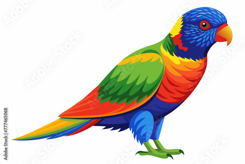 Rainbow lorikeet on white background.