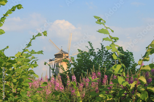 Photo, windmill in the forest. High quality photo