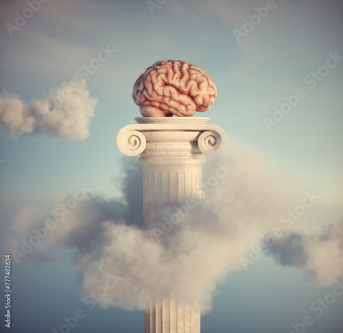 Brain on the Roman column