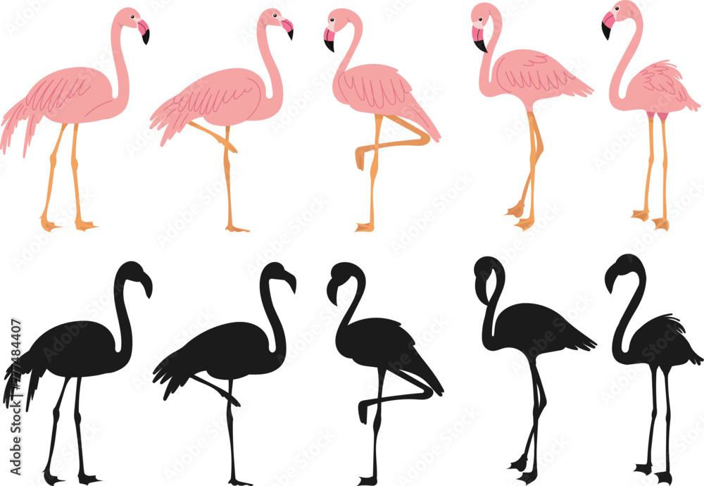 Fototapeta premium flamingo pink set on white background vector