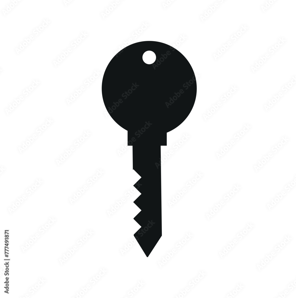 key icon. key button vector icon. key icon. key button vector icon.