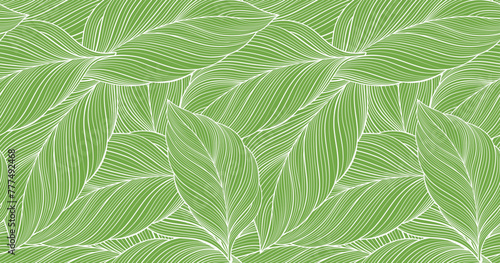 Vector green tropical background with palm leaves for decor, covers, backgrounds, wallpapers © FourLeafLover