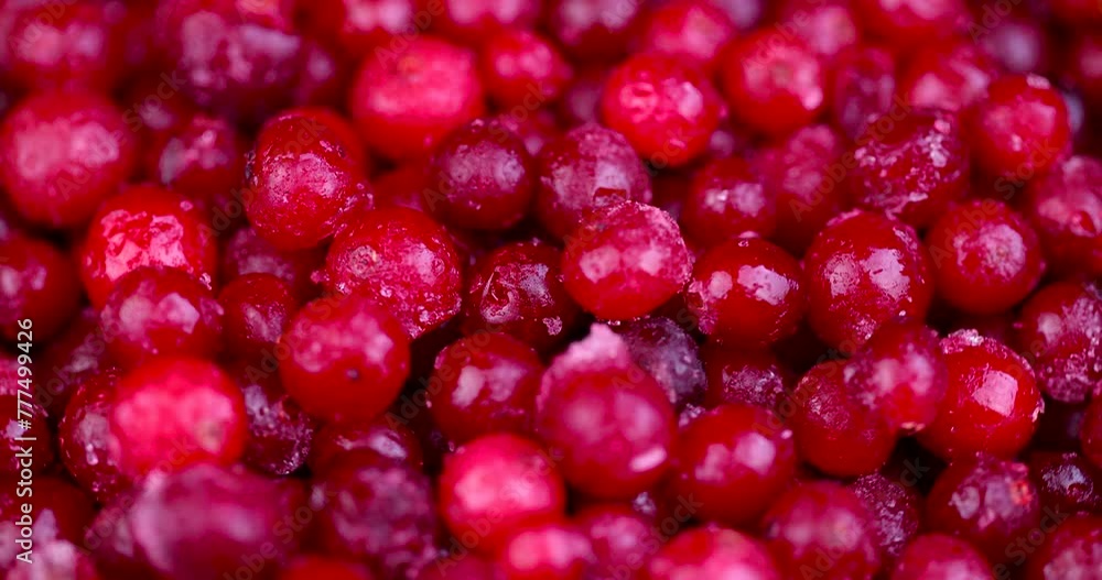 quick-frozen wild red cranberries, frozen for storage ripe red cranberries quick-frozen wild red cranberries, frozen for storage ripe red cranberries