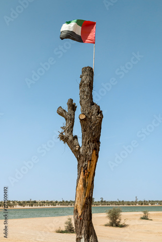 United Arab Emirates - Al Quadra Lake - Flag on the Tree
