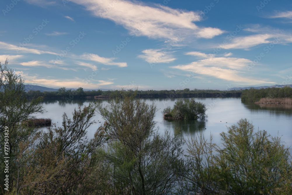 landscape, view, nature, lake, morning, water, spain, plants, fl