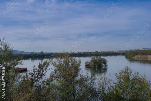 landscape  view  nature  lake  morning  water  spain  plants  fl