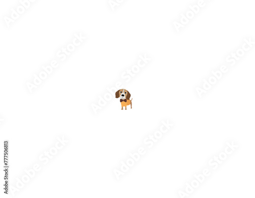 Fashion dog 14