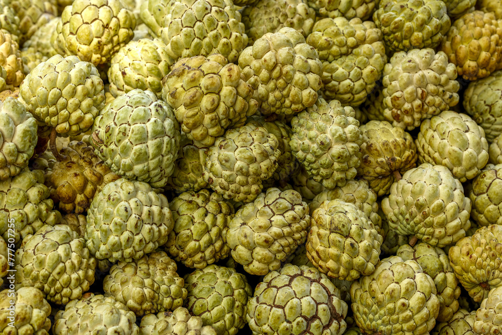 Fototapeta premium Custard apples sold in Mumbai, India