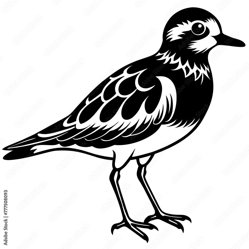 Fototapeta premium turnstone silhouette vector illustration,turnstone house,Cute cartoon turnstone characters,Holiday Silhouette,Hand drawn trendy Vector illustration,svg bat face
