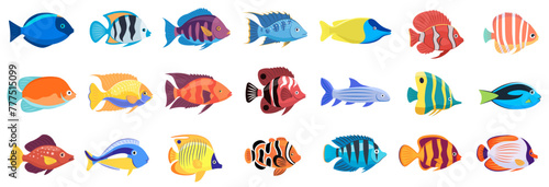 Tropical fish vector cartoon icon