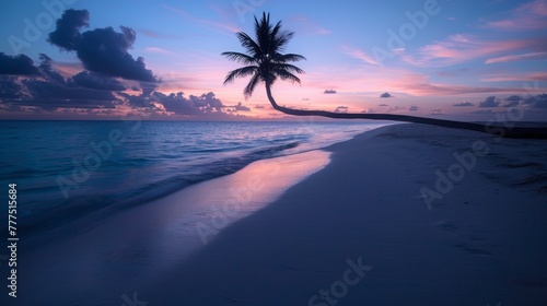 A palm tree is silhouetted against the sky at sunset. The sky is a mix of pink and blue hues. The beach is calm and peaceful, with the palm tree standing tall in the foreground