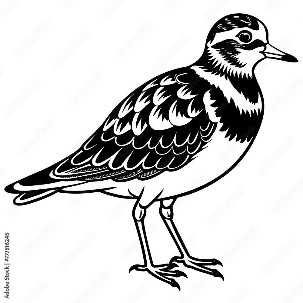 turnstone silhouette vector illustration,turnstone house,Cute cartoon turnstone characters,Holiday Silhouette,Hand drawn trendy Vector illustration,svg bat face turnstone silhouette vector illustration,turnstone house,Cute cartoon turnstone characters,Holiday Silhouette,Hand drawn trendy Vector illustration,svg bat face