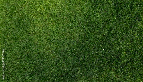 Green grass texture background, Top view of grass garden ideal concept used for making green flooring, lawn for training football pitch, Grass Golf Courses green lawn pattern texture