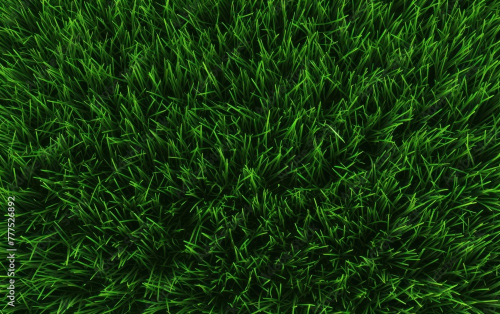 Dense green grass background with rich texture Dense green grass background with rich texture