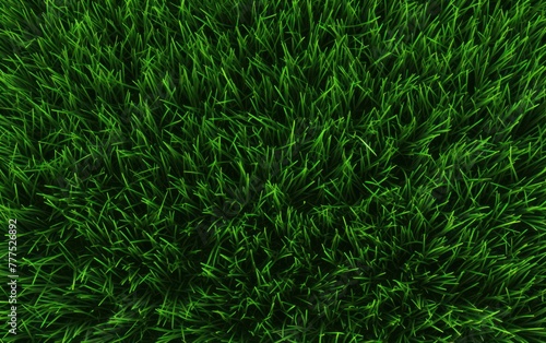 Dense green grass background with rich texture