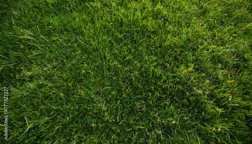 Green grass texture background, Top view of grass garden ideal concept used for making green flooring, lawn for training football pitch, Grass Golf Courses green lawn pattern texture photo