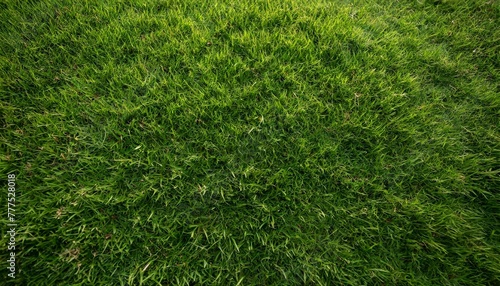 Wallpaper Mural Green grass texture background, Top view of grass garden ideal concept used for making green flooring, lawn for training football pitch, Grass Golf Courses green lawn pattern texture Torontodigital.ca