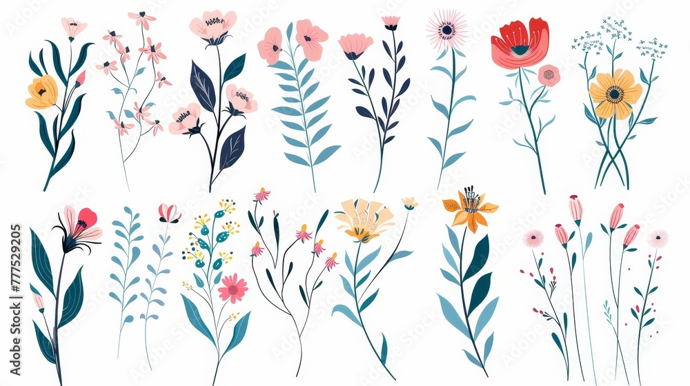 Flowers, foliage, plants, blossom, leaves and herbs. Set of leaf, foliage wildflowers, plants, bloom, leaves and herbs. Hand-drawn of blossom spring season moderns for decor, website, graphic, and