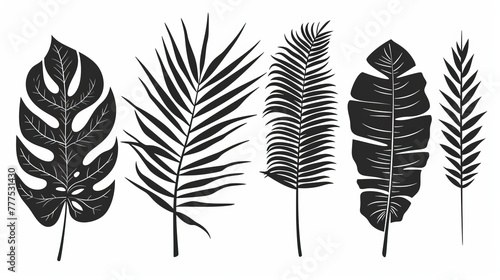 An illustration of a set of monochrome jungle exotic leaves, comprising Philodendron, Palm leaves, Areca palm leaves, Royal fern, and banana leaves isolated on a white background.