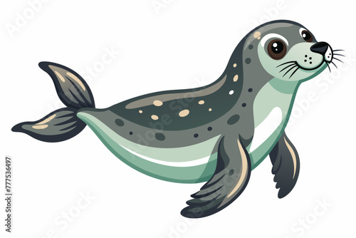  the sea lion basking on the rocks white