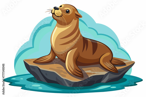  the sea lion basking on the rocks white