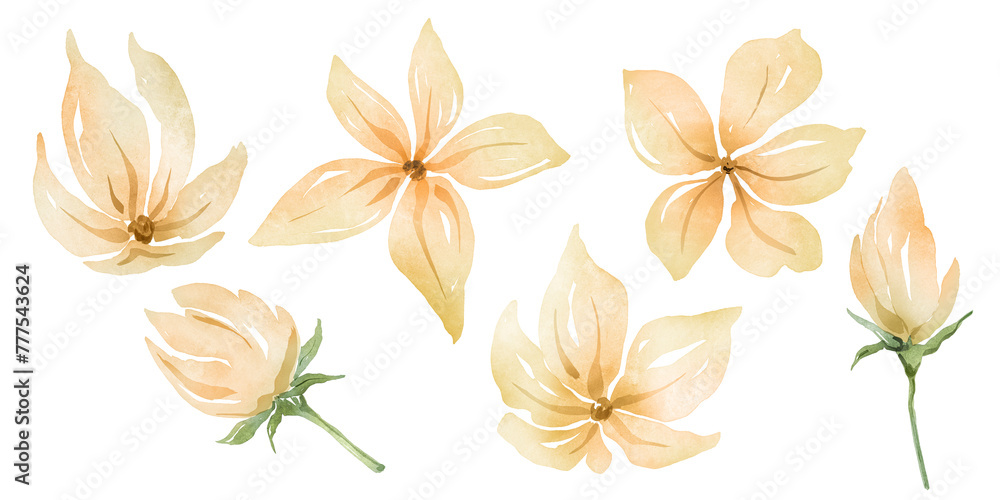 Watercolor hand painted floral illustration. Yellow flowers set.