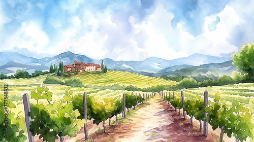Watercolor illustrations of vineyards and cheese farms