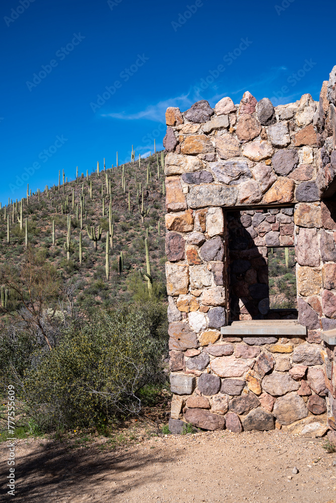 Bowen Stone Homestead Ruins, Tucson Mountain Park in Tucson Arizona