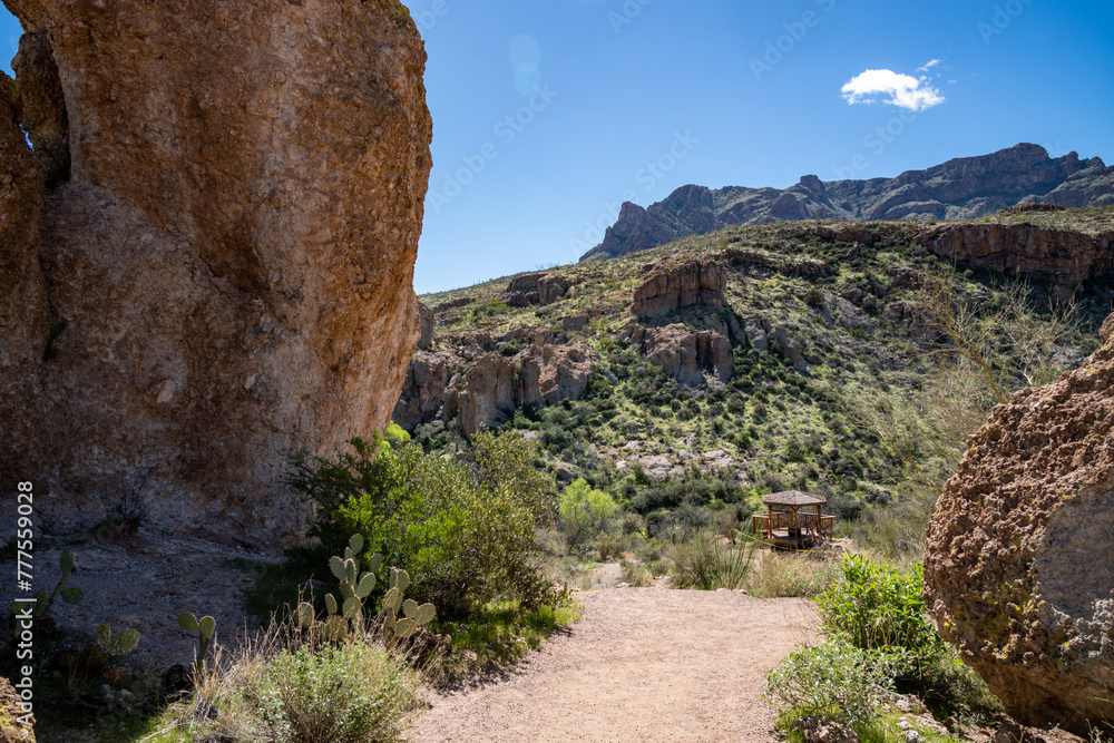 Beautiful desert view along the trail at the Boyce Thompson Arboretum in Arizona