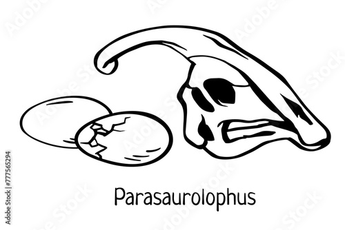 Parasaurolophus scull with eggs. Hand drawn black line art vector illustration. Triceratops. Doodle simple skull skeleton, egg for archaeological, paleontological, alchemy poster, book, game.