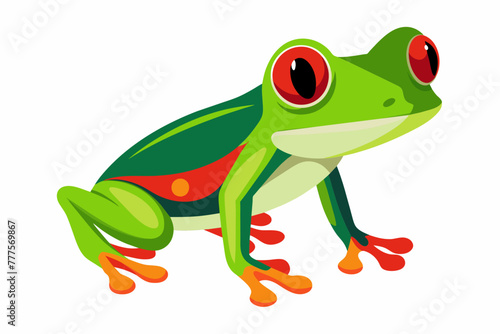 frog on a white background