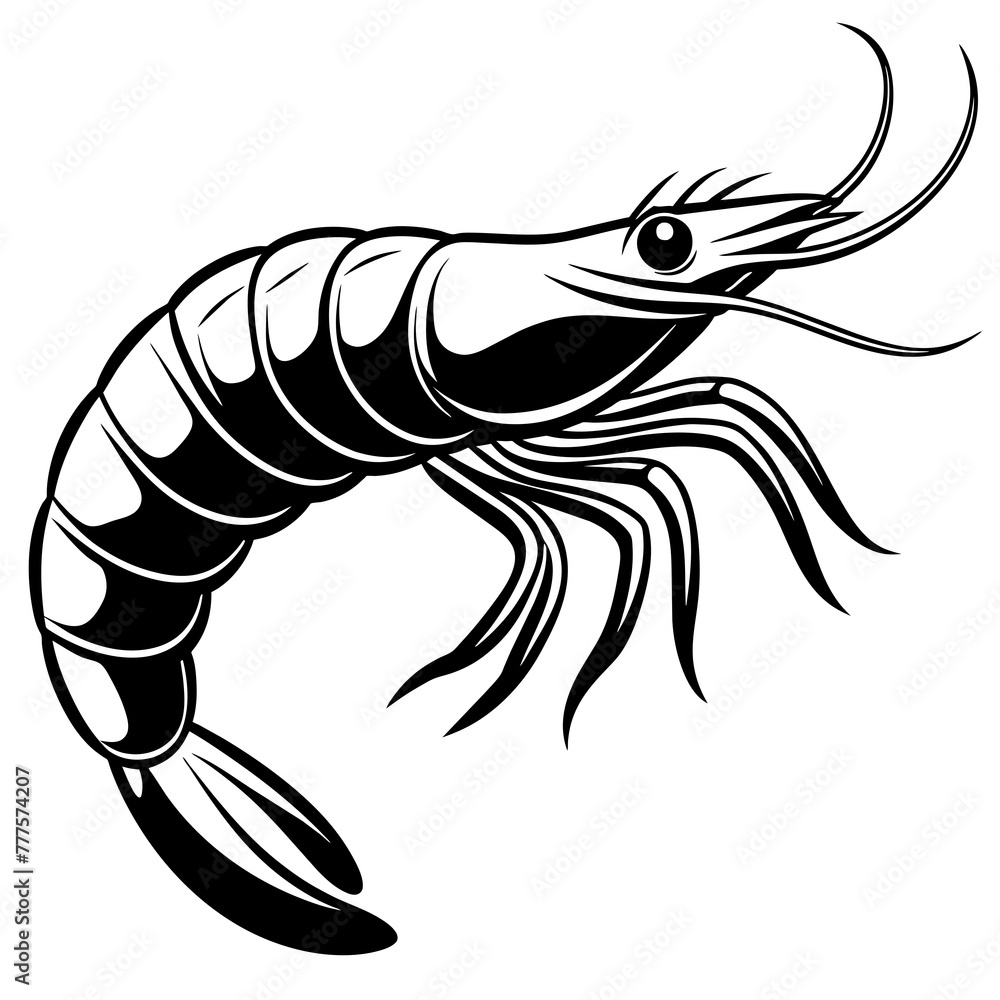 shrimp vector design 