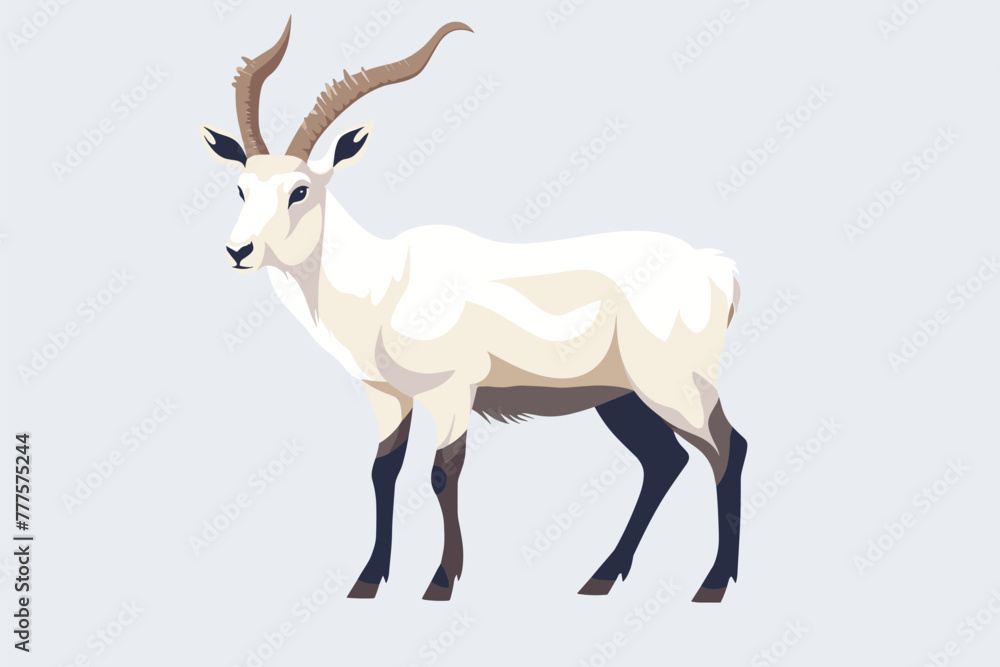 addax vector on isolated background addax vector on isolated background