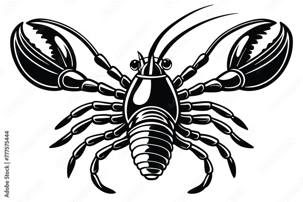 Obraz premium American lobster vector