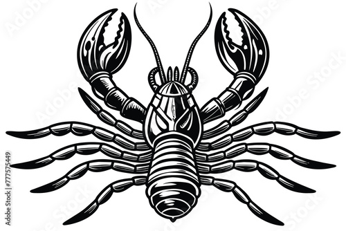 American lobster vector