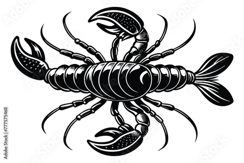 American lobster vector