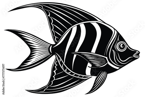 angel fish black and white vector photo