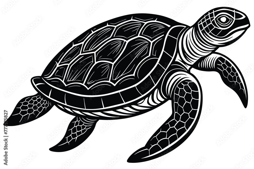 Fototapeta premium Archelon prehistoric animal black and white vector