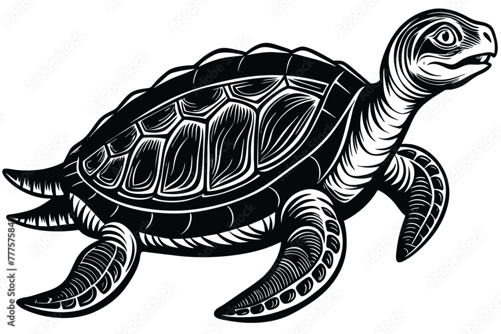 Fototapeta premium Archelon prehistoric animal black and white vector